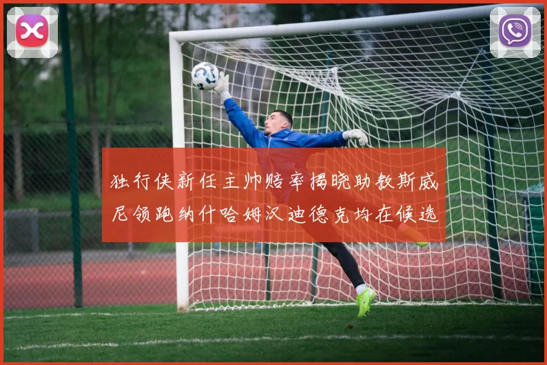 独行侠新任主帅赔率揭晓助教斯威尼领跑纳什哈姆汉迪德克均在候选之中