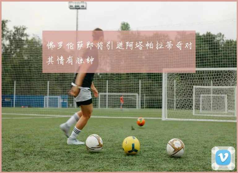 佛罗伦萨即将引进阿塔帕拉蒂奇对其情有独钟