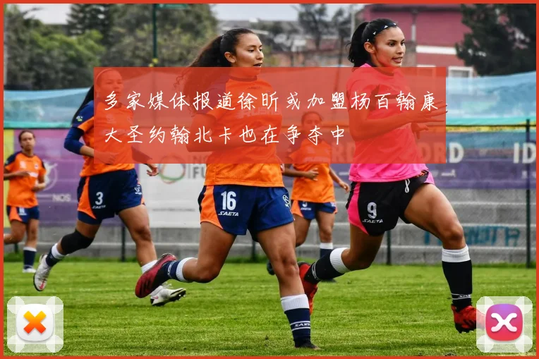 多家媒体报道徐昕或加盟杨百翰康大圣约翰北卡也在争夺中